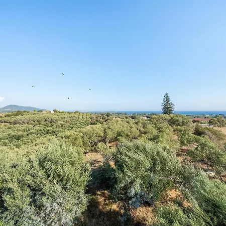 Melissa 1 * Halikúnasz