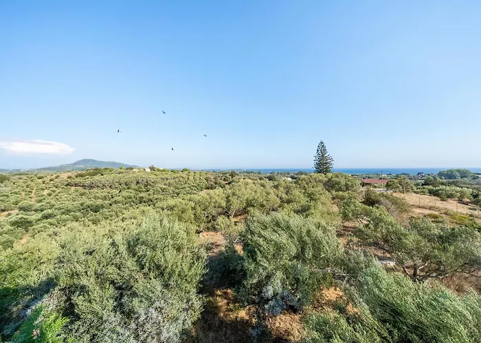 Melissa 1 * Chalikounas